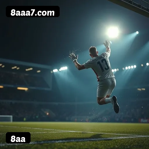 Níveis do programa VIP da 8aa